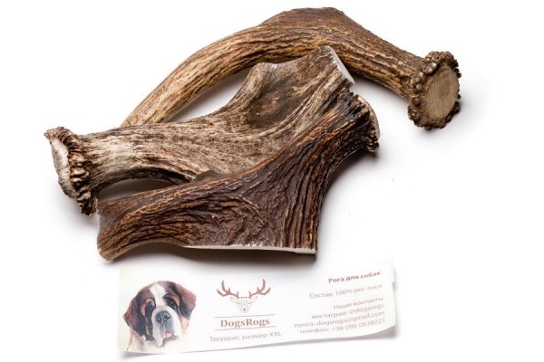 Лакомство для собак DogsRogs Рога оленя твердые XXL