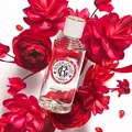 Парфумована вода Roger&Gallet Gingembre Rouge Червоний імбир, 30 мл