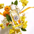 Парфумована вода Roger&Gallet Neroli Неролі, 100 мл