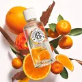 Парфумована вода Roger&Gallet Bois d'Orange Апельсинове дерево, 100 мл