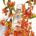 Парфумована вода Roger&Gallet Fleur d'Osmanthus Квітка османтусу, 100 мл