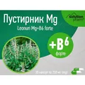 Пустирник Mg+B6 Solution Pharm капсули по 250 мг №30