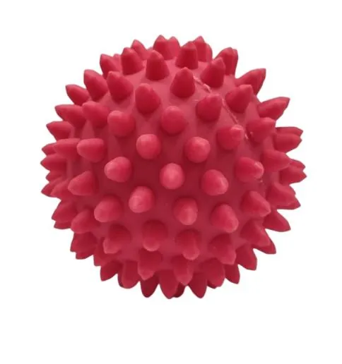 М'яч голчастий Health Ball Д73