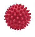 М'яч голчастий Health Ball Д73