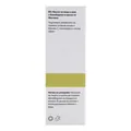Сироватка для обличчя та шиї InoPharm Pure Elements з Bio оливковою олією та CBD, 30 мл