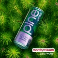 Напиток сокосодержащий Моршинская плюс Pine Water слабогазированный, черника и ежевика, 0,33 л