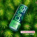 Напиток сокосодержащий Моршинская плюс Pine Water слабогазированный, мята, 0,33 л
