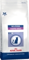 Корм сухой Royal Canin Young Male для кастрированных котов до 7 лет, 0,4 кг