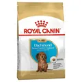 Корм сухий для цуценят Royal Canin Dachshund Junior породи такса до 10 місяців, 1,5 кг