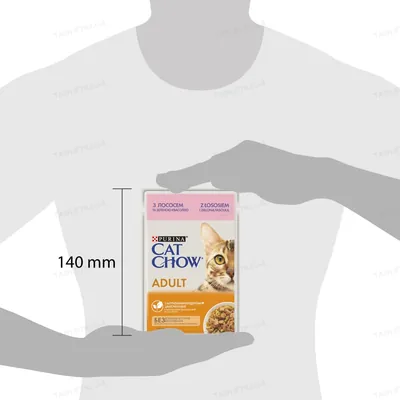Корм вологий для дорослих кішок Purina Cat Chow Adult з лососем та зеленою квасолею в желе, 85 г