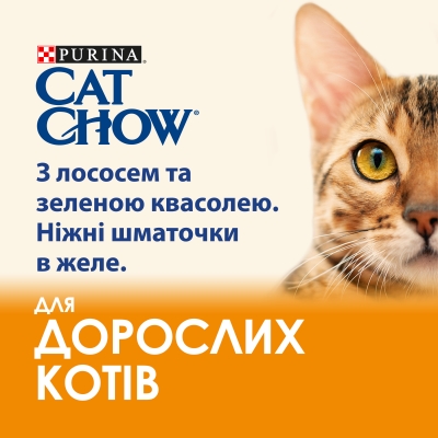Корм вологий для дорослих кішок Purina Cat Chow Adult з лососем та зеленою квасолею в желе, 85 г
