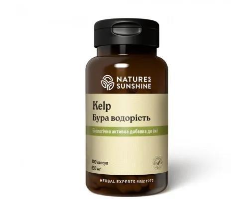 Бура водорость Nature's Sunshine (NSP) Kelp, 100 капсул