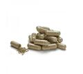 Бура водорость Nature's Sunshine (NSP) Kelp, 100 капсул