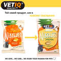 Лакомство для грызунов VetIQ Nibblots с тропическими фруктами для здоровья кожи и шерсти, 30 г