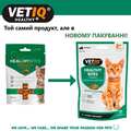 Ласощі для кошенят VetIQ Healthy Bites Growth Support з куркою для підтримки зростання, 65 г