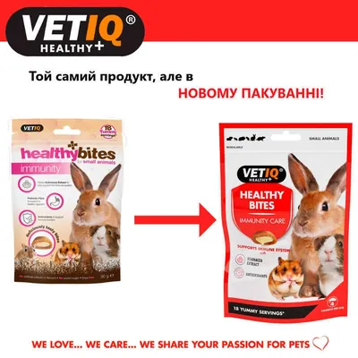 Ласощі для гризунів VetIQ Healthy Bites Immunity care з ехінацеєю для підвищення імунітету, 30 г
