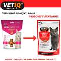 Лакомство для кошек VetIQ Healthy Bites Urinary Care с сыром для здоровья мочевыводящих путей , 65 г