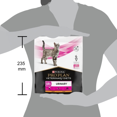 Корм сухий для котів Purina Pro Plan Veterinary Diets UR Urinary при сечокам'яній хворобі з куркою, 350 г