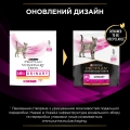 Корм сухий для котів Purina Pro Plan Veterinary Diets UR Urinary при сечокам'яній хворобі з куркою, 350 г