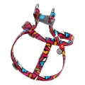 Шлея для собак Collar WAUDOG Nylon Граффити, с QR паспортом ширина 25 мм, длина 60-90 см