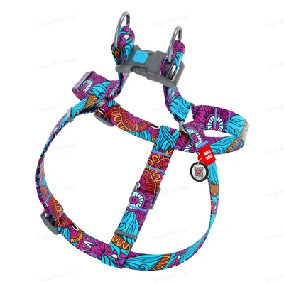 Шлея для собак Collar WAUDOG Nylon Літо, з QR паспортом ширина 20 мм, довжина 50-80 см