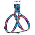 Шлея для собак Collar WAUDOG Nylon Літо, з QR паспортом ширина 20 мм, довжина 50-80 см