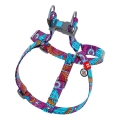 Шлея для собак Collar WAUDOG Nylon Літо, з QR паспортом ширина 20 мм, довжина 50-80 см