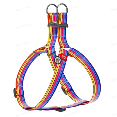 Шлея для собак Collar WAUDOG Nylon Лінія 1, з QR паспортом ширина 20 мм, довжина 50-80 см