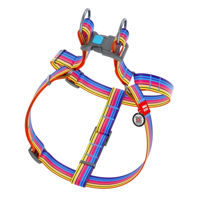 Шлея для собак Collar WAUDOG Nylon Лінія 1, з QR паспортом ширина 25 мм, довжина 60-90 см