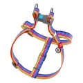 Шлея для собак Collar WAUDOG Nylon Лінія 1, з QR паспортом ширина 25 мм, довжина 60-90 см