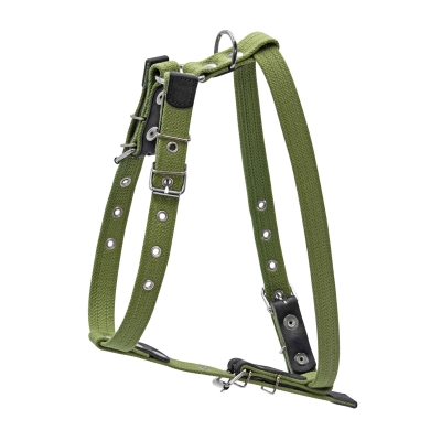 Шлея для собак Collar из хлопчатобумажной ленты для малых и средних пород, 20 мм, зеленый