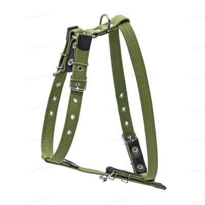 Шлея для собак Collar з бавовняної стрічки для малих та середніх порід, 20 мм, зелений
