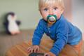 Пустышка силиконовая Philips Avent Ultra Air Animal SCF080/07 ортодонтическая, для мальчиков, 6-18 месяцев, 2 шт