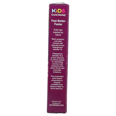 Комплекс при простуде для детей Nature's Way Umcka Coldcare Cherry Kids, 10 жевательных таблеток