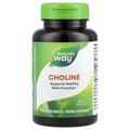 Холин Nature's Way Choline 500 мг, 100 таблеток