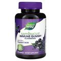 Черная бузина Nature's Way Sambucus Immune Support, 60 жевательных таблеток