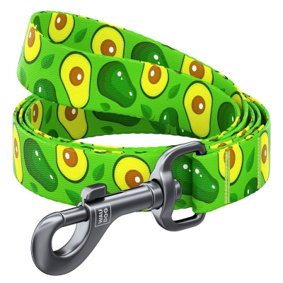 Поводок Collar WAUDOG Nylon рисунок Авокадо, ширина 20 мм длина 122 см