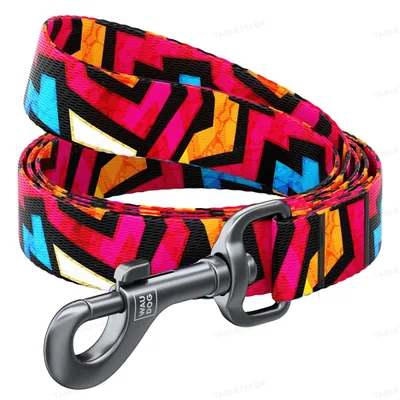 Повідець Collar WAUDOG Nylon малюнок Графіті, ширина 25 мм довжина 122 см
