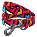 Поводок Collar WAUDOG Nylon рисунок Граффити, ширина 25 мм длина 122 см