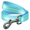 Повідець для собак Collar WAUDOG Nylon 45662 який світиться, ширина 15 мм, довжина 122 см, блакитний