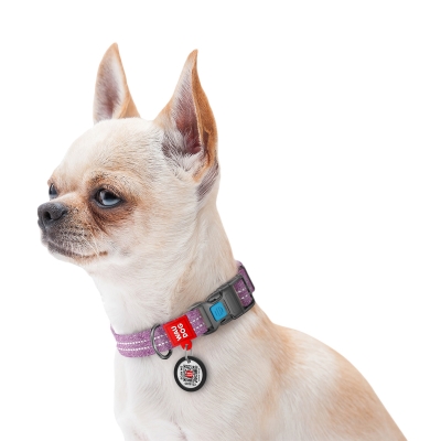 Ошейник для собак Collar WAUDOG Re-cotton QR паспортом, из восстановленного хлопка, пластиковая пряжка, ширина 20 мм, длина 24-40 см