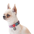 Ошейник для собак Collar WAUDOG Re-cotton QR паспортом, из восстановленного хлопка, пластиковая пряжка, ширина 20 мм, длина 24-40 см