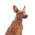Ошейник для собак Collar WAUDOG Re-cotton QR паспортом, из восстановленного хлопка, пластиковая пряжка, ширина 20 мм, длина 24-40 см