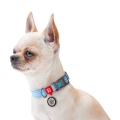 Ошейник для собак Collar WAUDOG Re-cotton QR паспортом, из восстановленного хлопка, пластиковая пряжка, ширина 25 мм, длина 31-49 см
