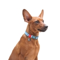 Ошейник для собак Collar WAUDOG Re-cotton QR паспортом, из восстановленного хлопка, пластиковая пряжка, ширина 25 мм, длина 31-49 см