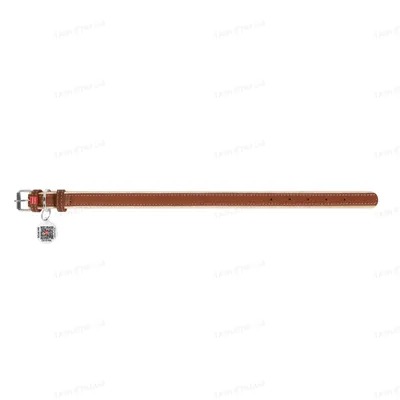 Нашийник для собак Collar WAUDOG WAUDOG Soft з QR паспортом, шкіряний, ширина 20 мм довжина 30-39 см, коричневий