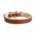 Нашийник для собак Collar WAUDOG WAUDOG Soft з QR паспортом, шкіряний, ширина 20 мм довжина 30-39 см, коричневий