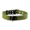 Ошейник для собак Collar безразмерный из хлопчатобумажной тесьмы со светоотражающей нитью, ширина 25 мм длина 53 см, зеленый