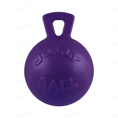 Іграшка для собак Гиря Jolly Pets Tug-n-Toss 445PRP фіолетова, маленька