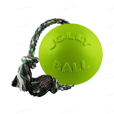 Іграшка для собак М'яч з канатом Jolly Pets Romp-N-Roll 606GR зелена, середня